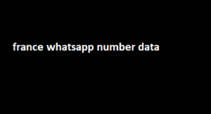 france whatsapp number data